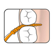 Load image into Gallery viewer, TePe EasyPick™ Orange toothpick cleaning between teeth.