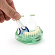 Load image into Gallery viewer, Triple Bristle Brush Heads in use on dental model, extra soft bristles, pack of 3.