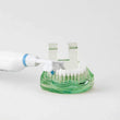 Load image into Gallery viewer, Triple Bristle Sonic Premium Replacement Brush Heads Soft Blue, Pack of 2 on dental model.